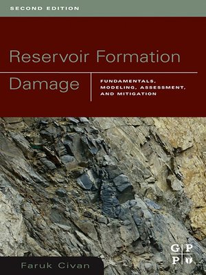 cover image of Reservoir Formation Damage